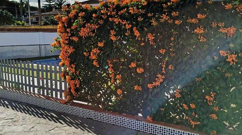 Photo 4 of House or chalet for sale in Los Pinos, Algeciras