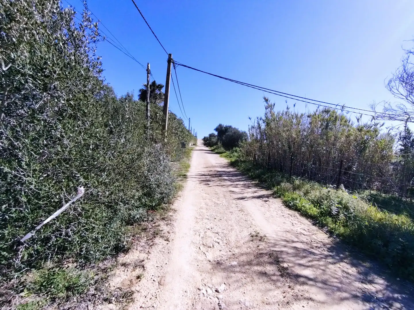 Terreni e lotti in vendita a Vejer, imagen 7