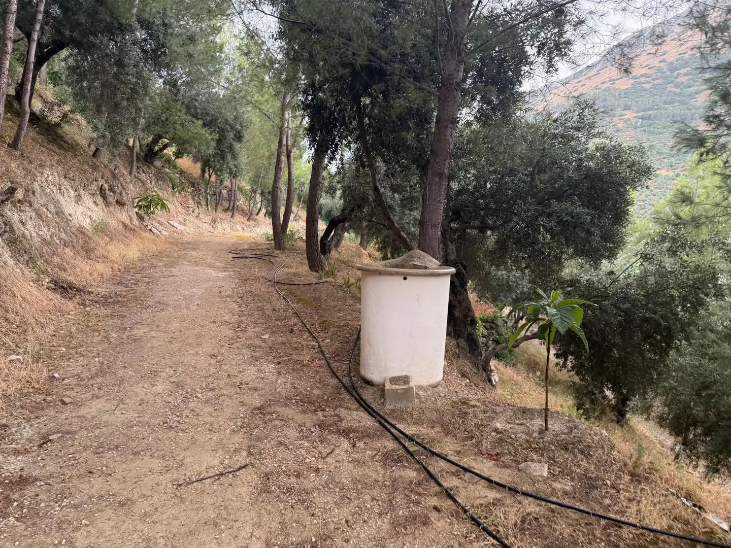 Garten von Country house zum Verkauf in Jaén mit Privatgarten, Terrasse und Schwimmbad