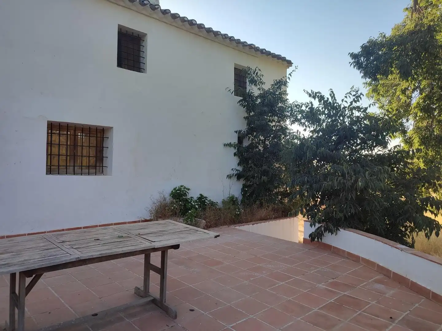 Terrains et parcelles à vendre à Pedanías Centro, imagen 8