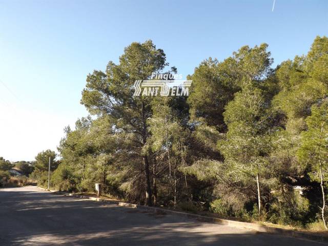 Terreno en Venta en de Santa Maria de Montserrat, 85 en Segur de Dalt