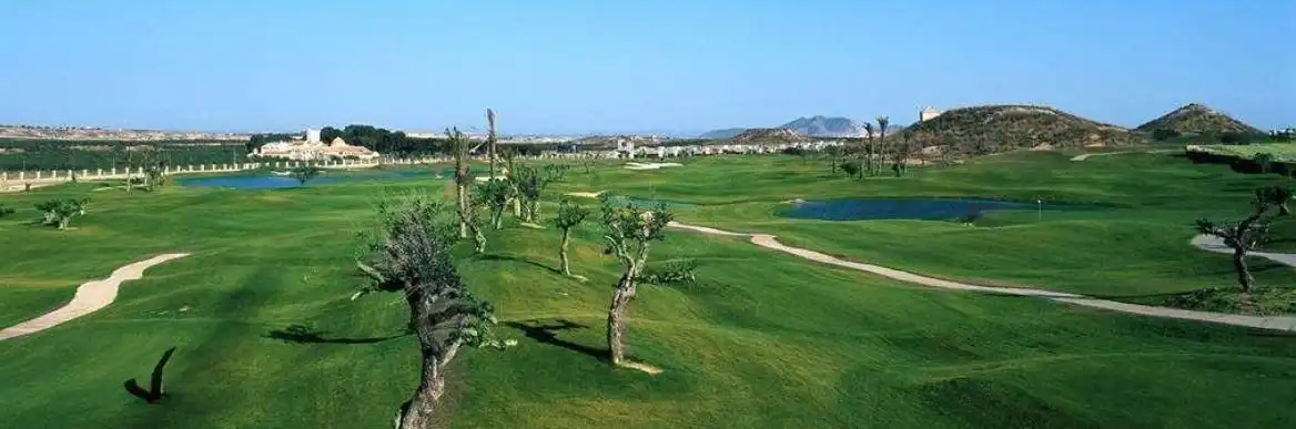 Adossat amb piscina en venda a Campo de Murcia, imagen 29