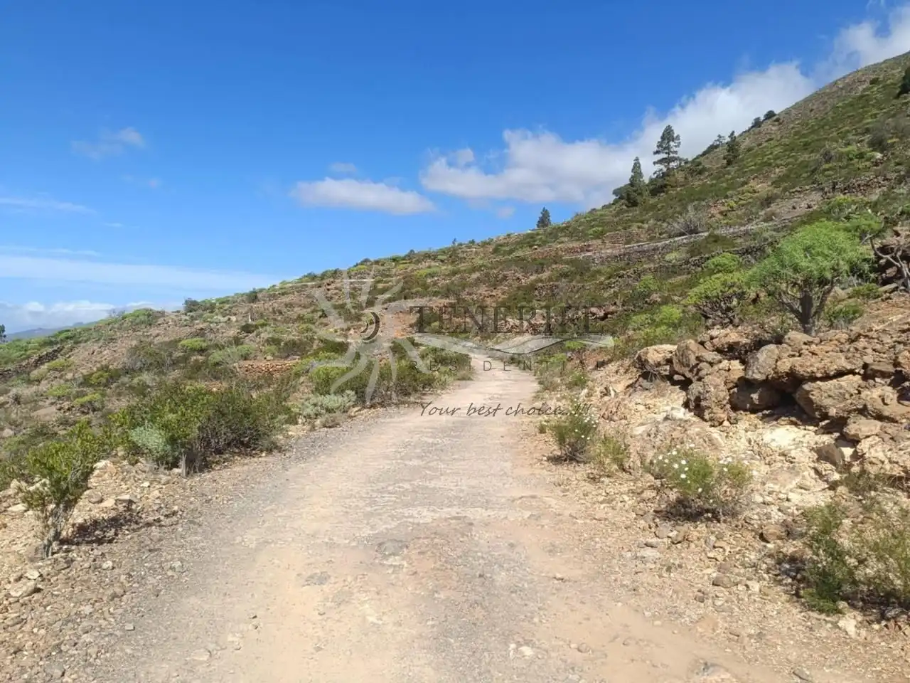 Rural land for sale in Al Monte, imagen 3