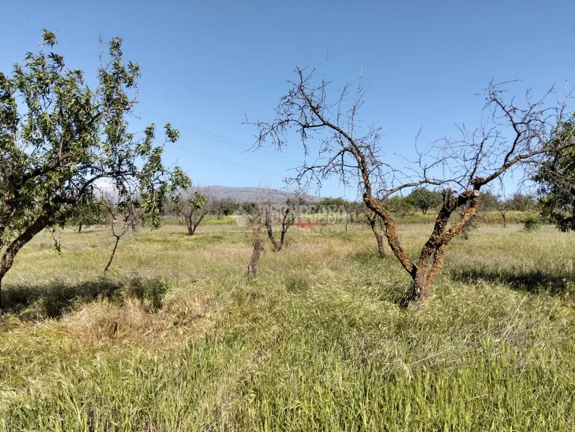 Rural land for sale in Dúrcal, imagen 9
