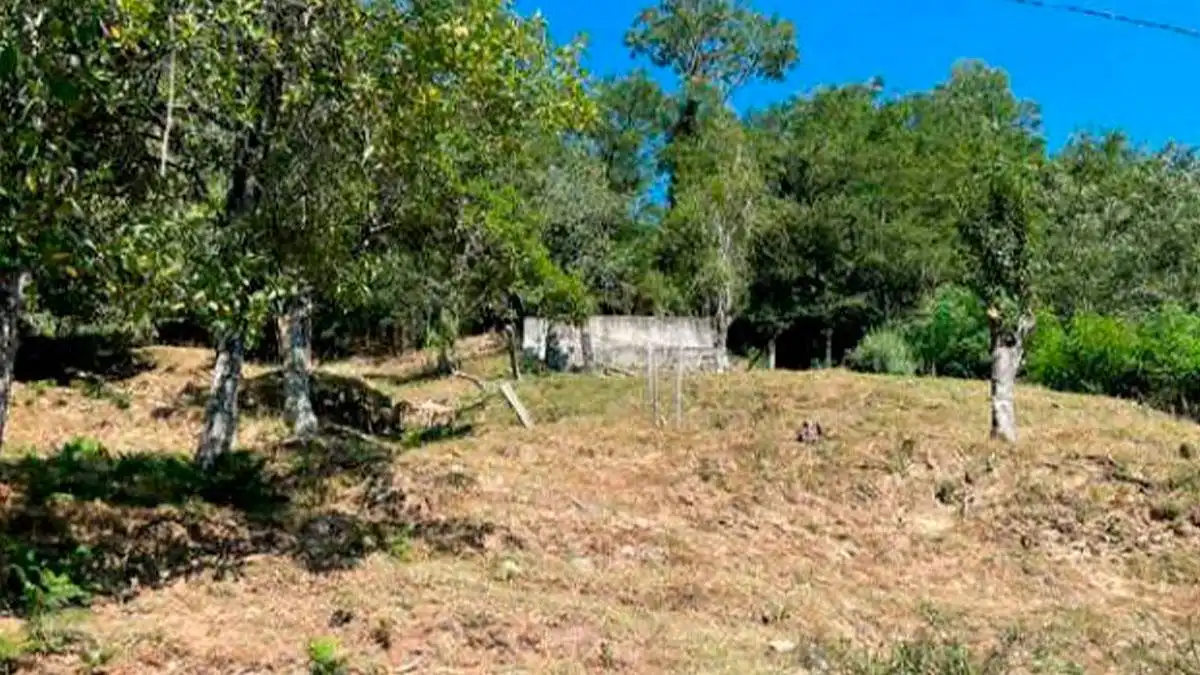 Lands and plots for sale in SITIO VIÑOTE, ARNOIS PG 508 PARC. 75, imagen 5
