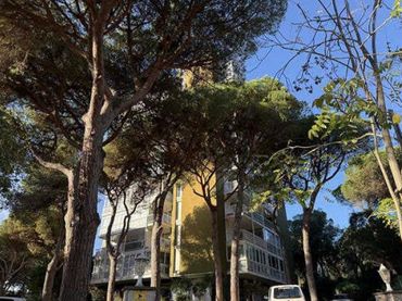 Appartement à vendre à C/ Hortensia