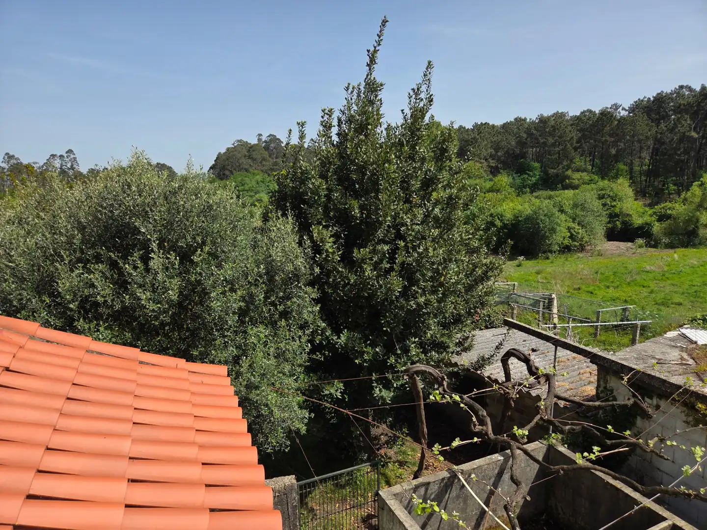 Jardí de Casa o xalet en venda en Sanxenxo amb Jardí privat i Terrassa