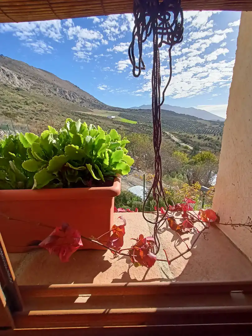 Casa rústica en venta en Plaza la Fuente 4, imagen 10
