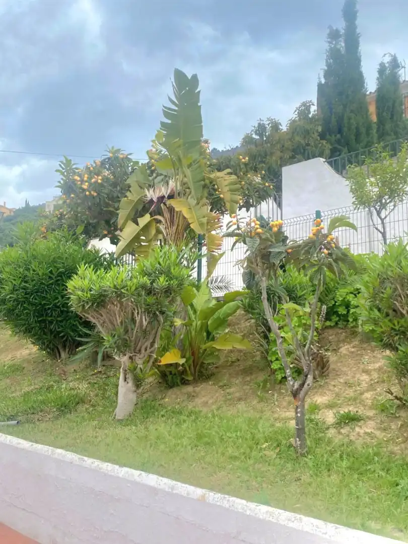 Jardí de Casa adosada en venda en Alhaurín de la Torre amb Aire condicionat, Terrassa i Traster