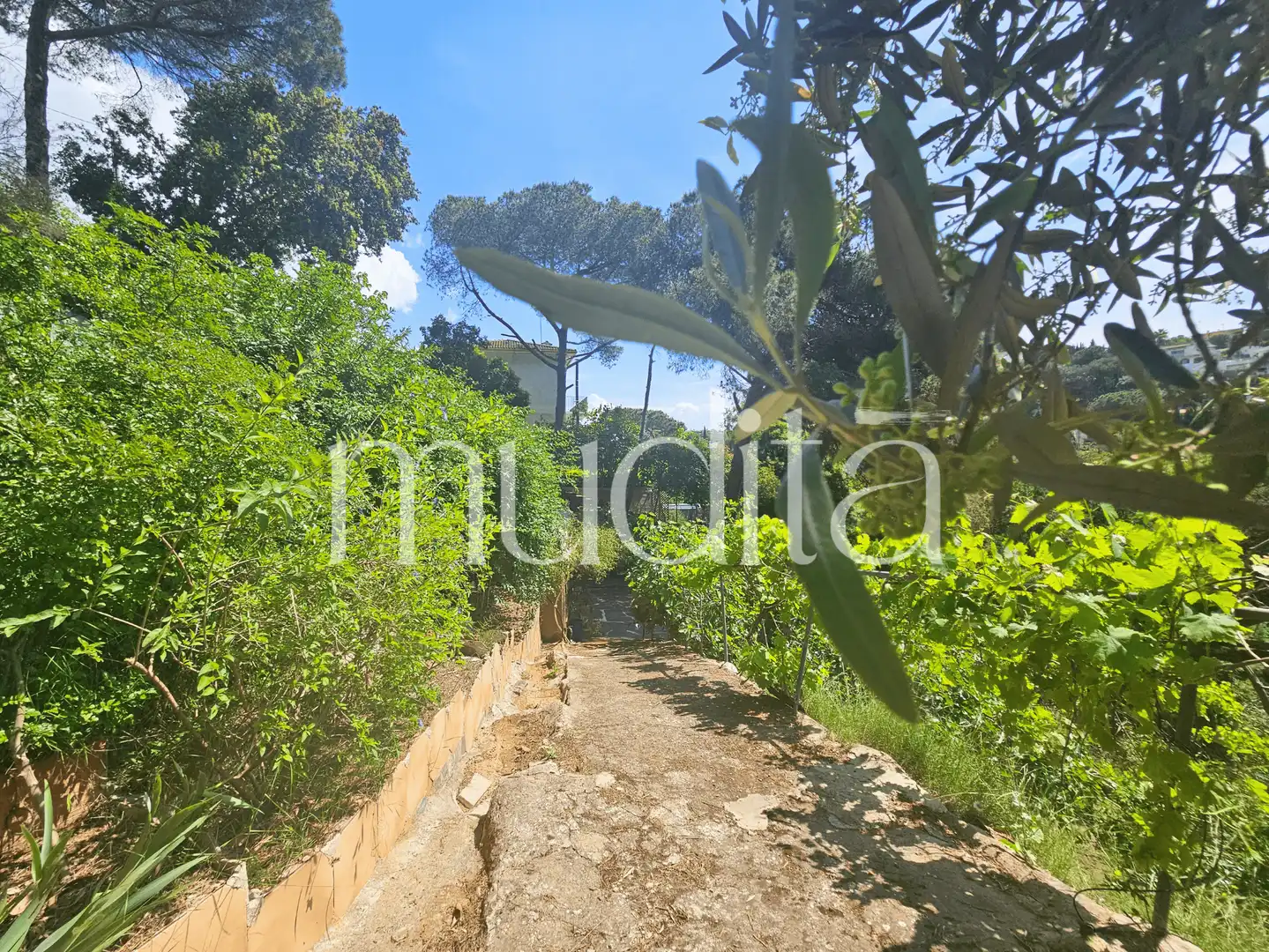 Terreno residencial en venta en Joan Maragall i Gorina, imagen 23