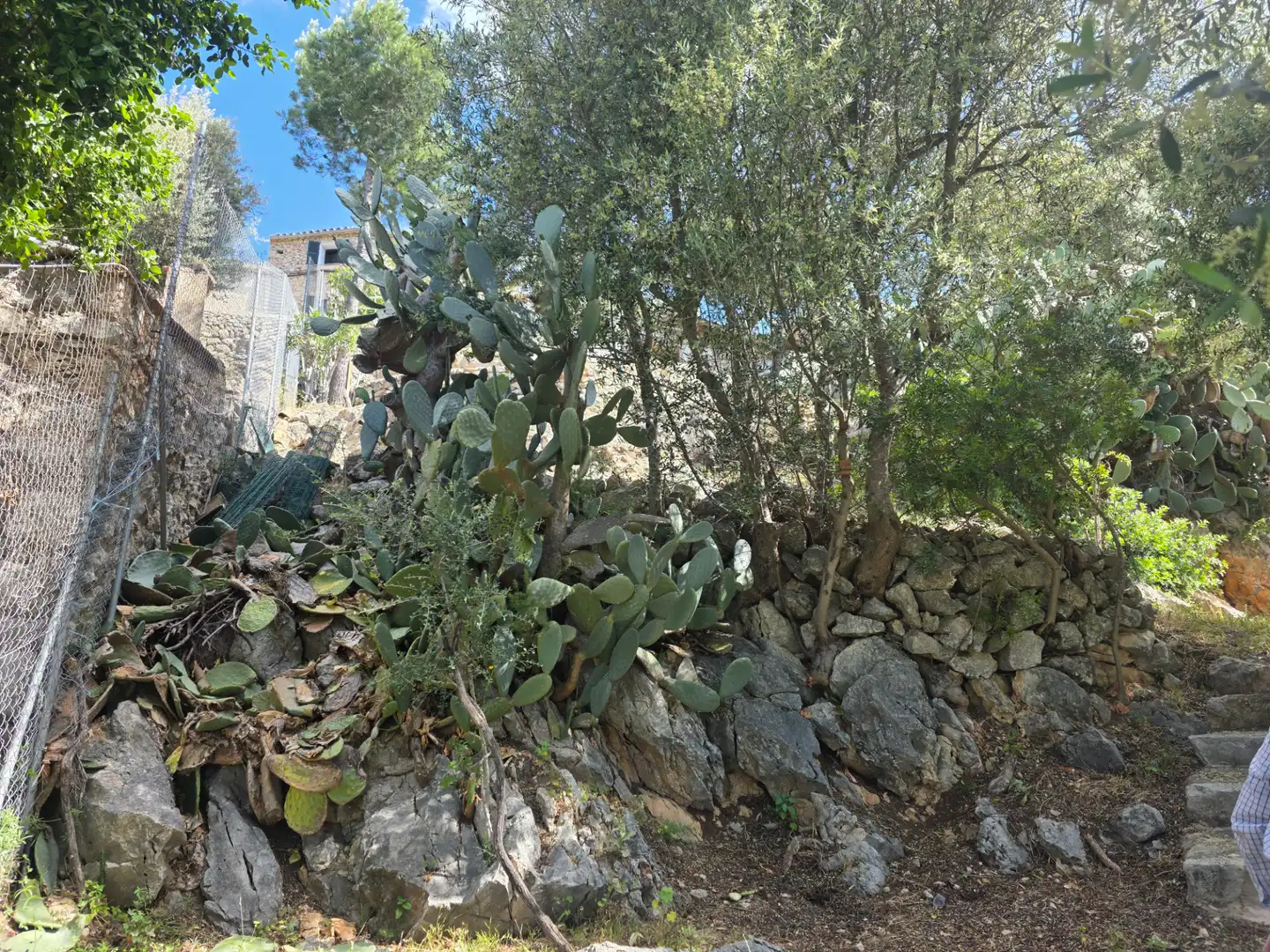 Jardín de Casa o chalet en venta en Puigpunyent con Jardín privado