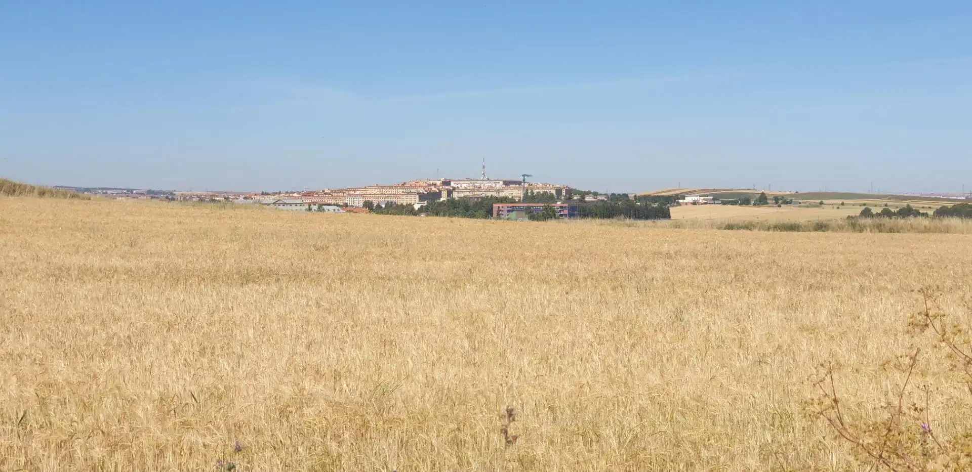 Rural land for sale in Villares de la Reina