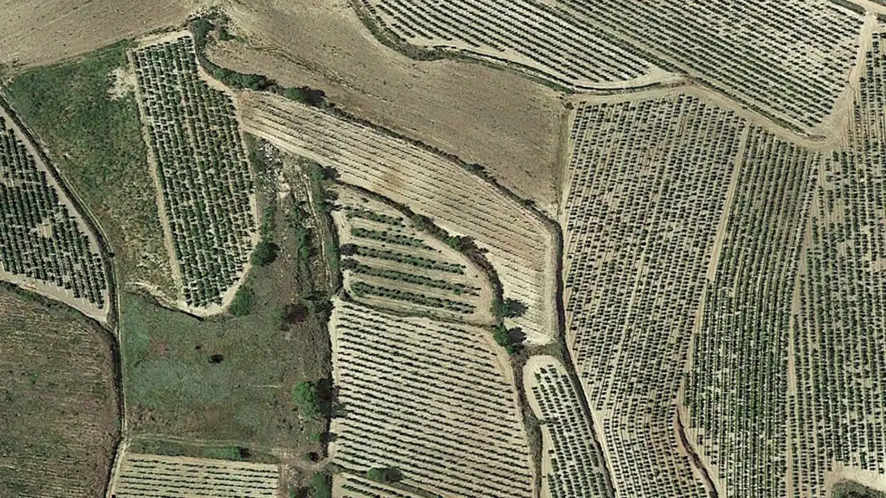 Lands and plots for sale in C/ Polígono 42 Parcela 13, imagen 3
