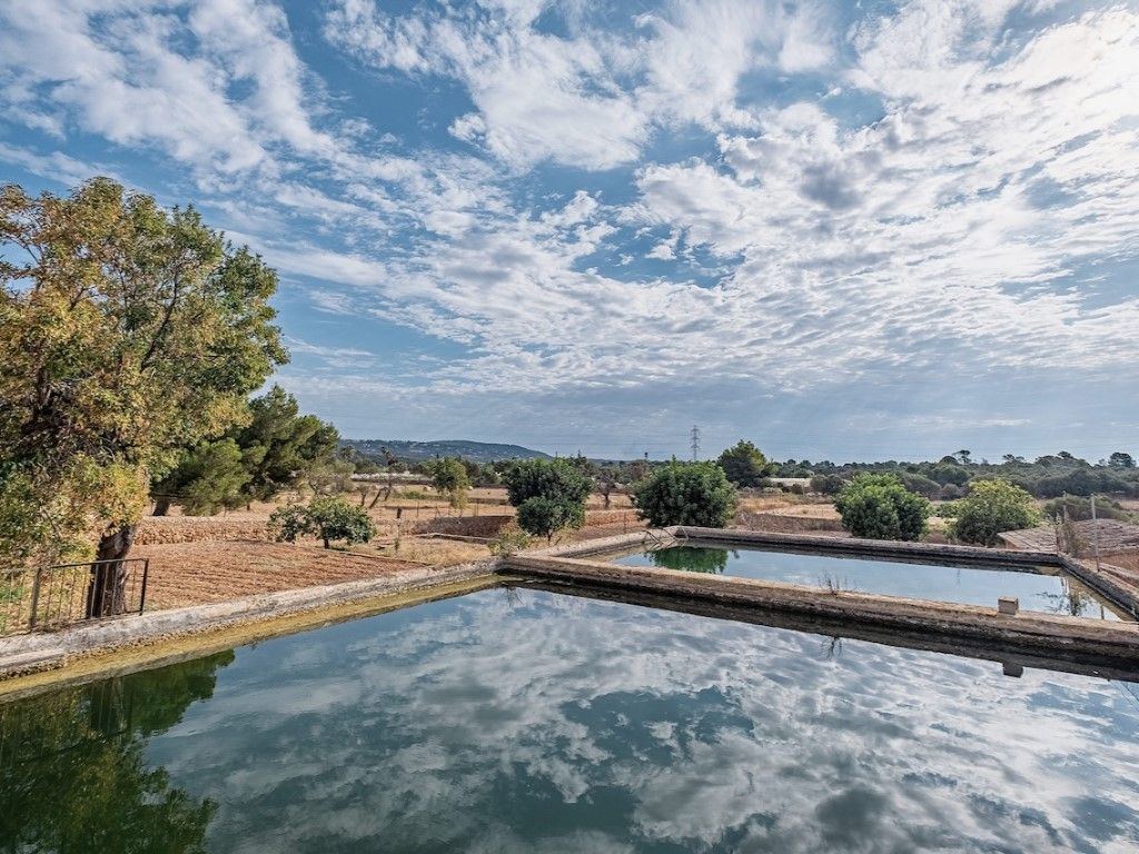 Swimming pool of Country house for sale in  Palma de Mallorca  with Private garden and Terrace