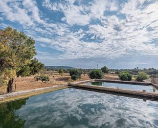 Piscina de Finca rústica en venda en  Palma de Mallorca amb Jardí privat i Terrassa
