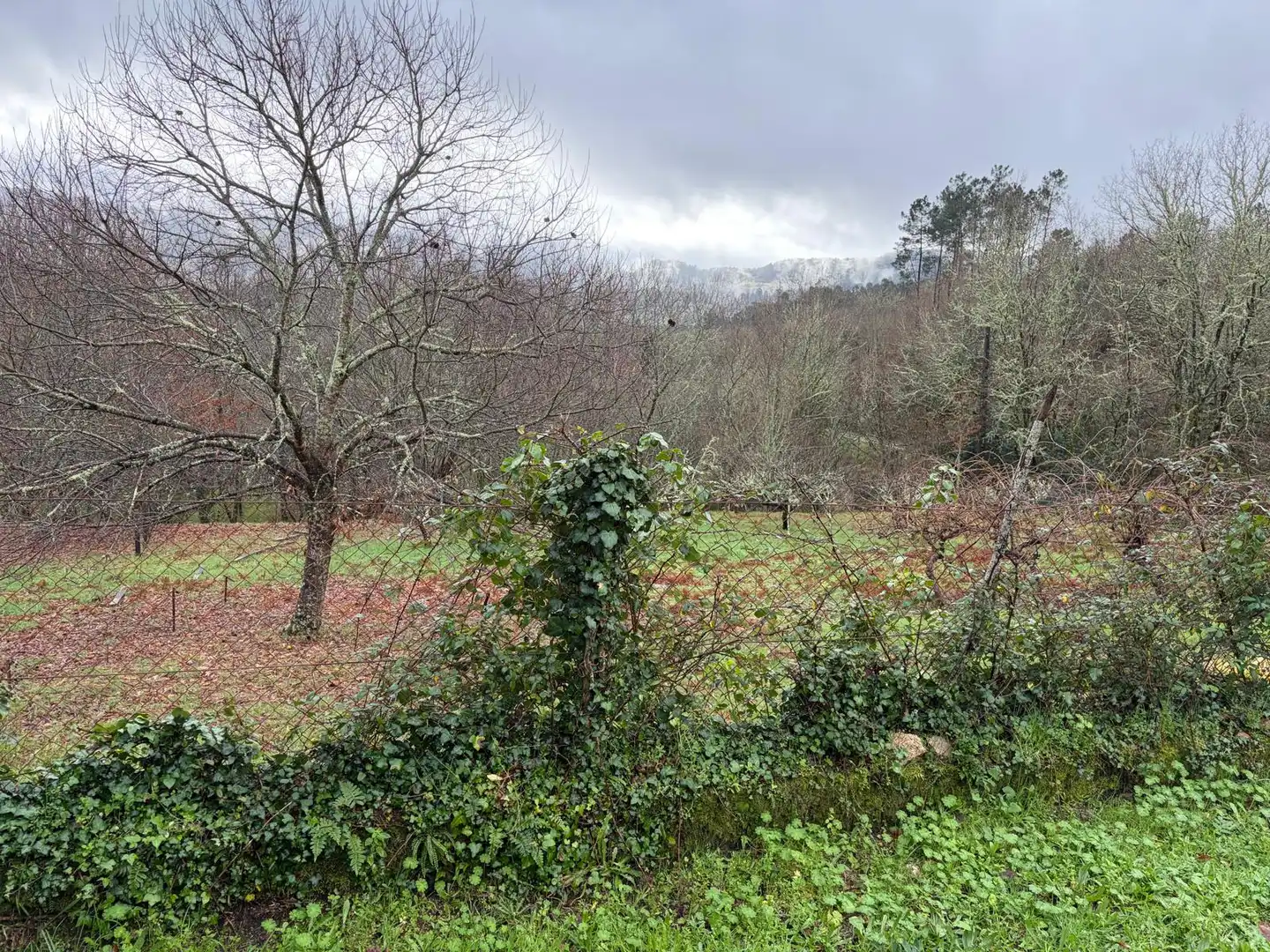 Casa o xalet en venda en Mondariz amb Jardí privat i Moblat