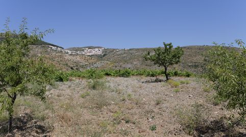 Foto 5 de Terreno en venta en N/a, -1, Murtas, Granada