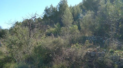 PARCELA CONSTRUCTIBLE EN JALON ALICANTE, imatge 4