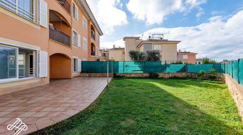 Photo 3 of Planta baja for sale in Sa Torre, Llucmajor