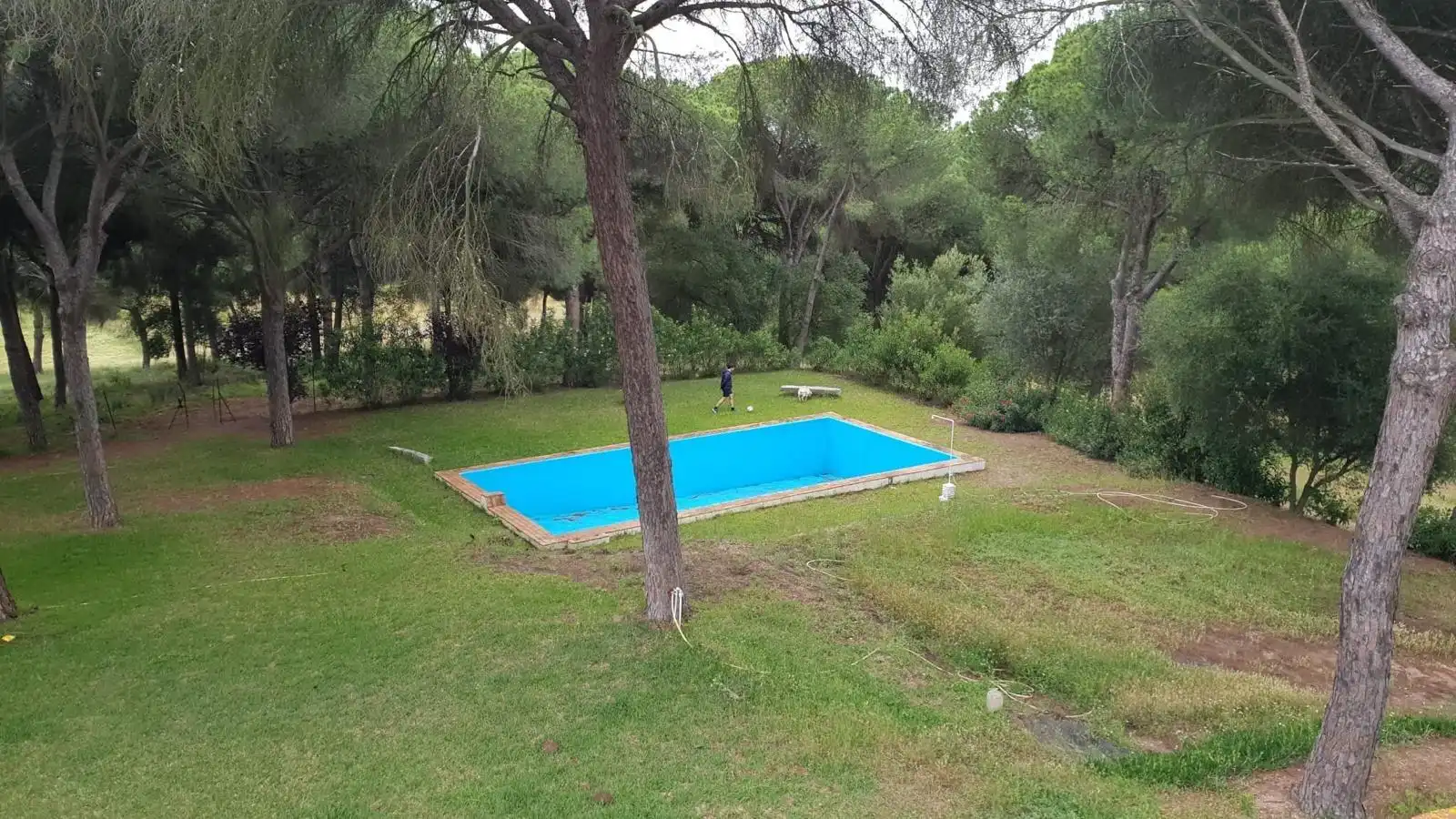 Terreni e lotti in vendita a La Puebla del Río, imagen 21