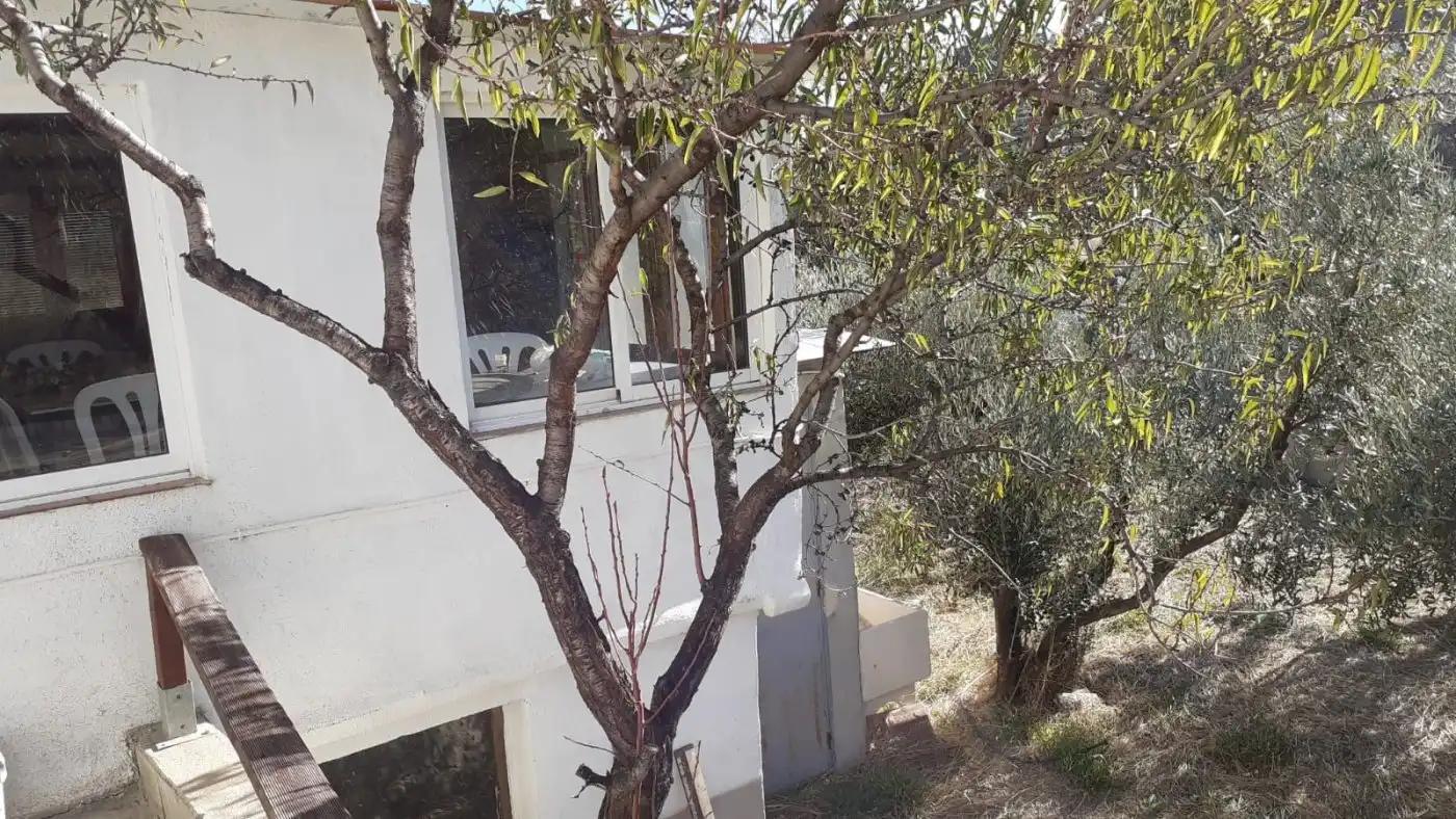 Jardí de Finca rústica en venda en Bayarque amb Traster