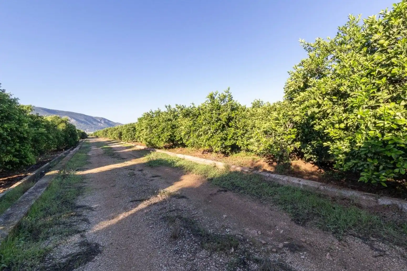 Maison à vendre à Benifairó de la Valldigna - HORTA, imagen 17