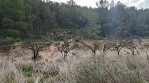 Oportunidad para iniciativas de NATURALEZA, OCIO Y TURISMO SOSTENIBLE, immagine 3