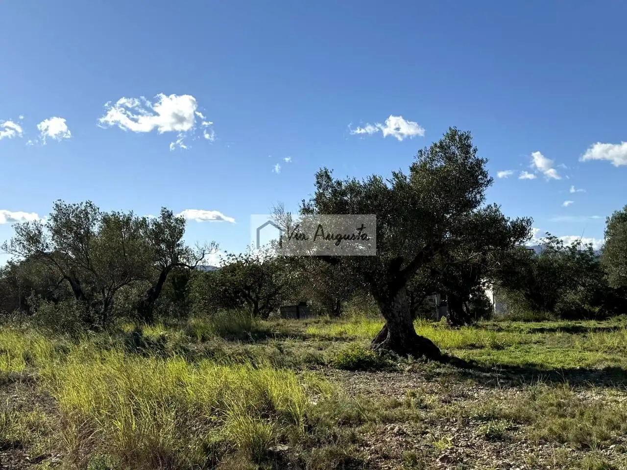 Terrenos y solares en venta en Arrivesando, imagen 6