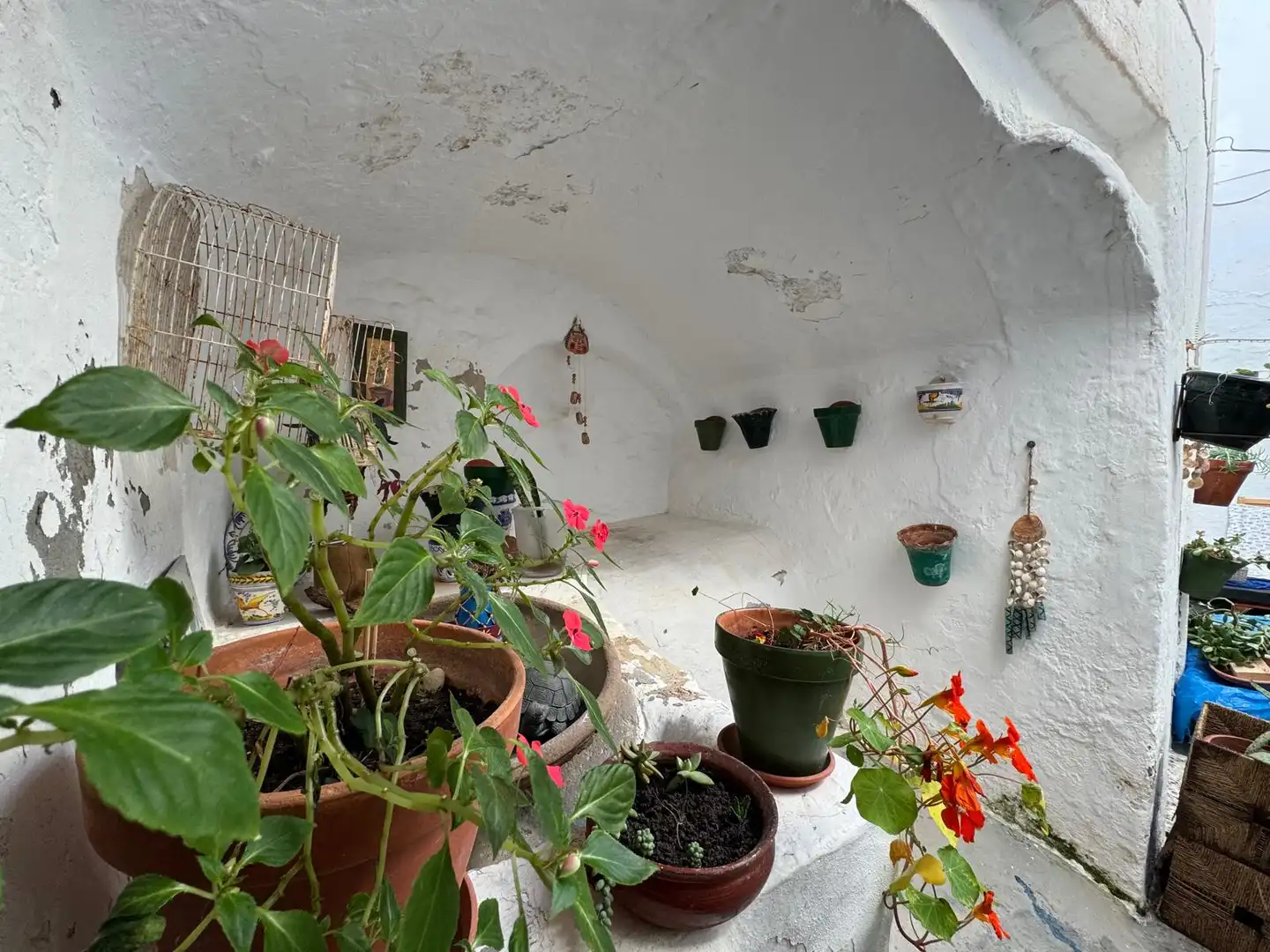 Casa o chalet en venta en Conil de la Frontera con Amueblado