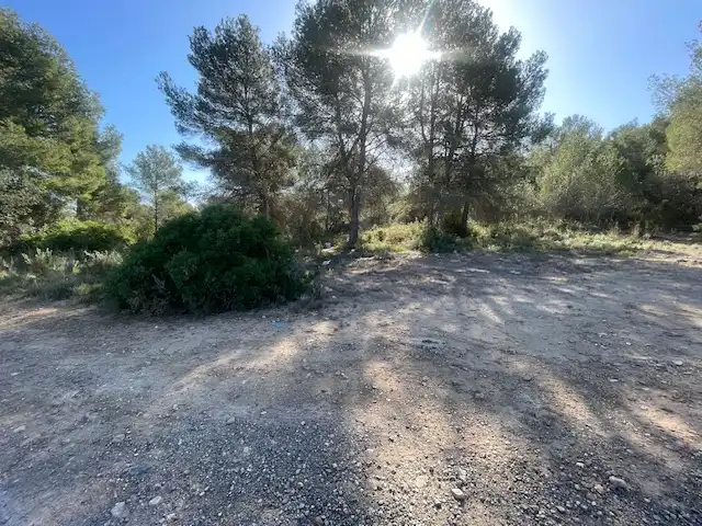 Rural land for sale in Albalat dels Tarongers, imagen 2
