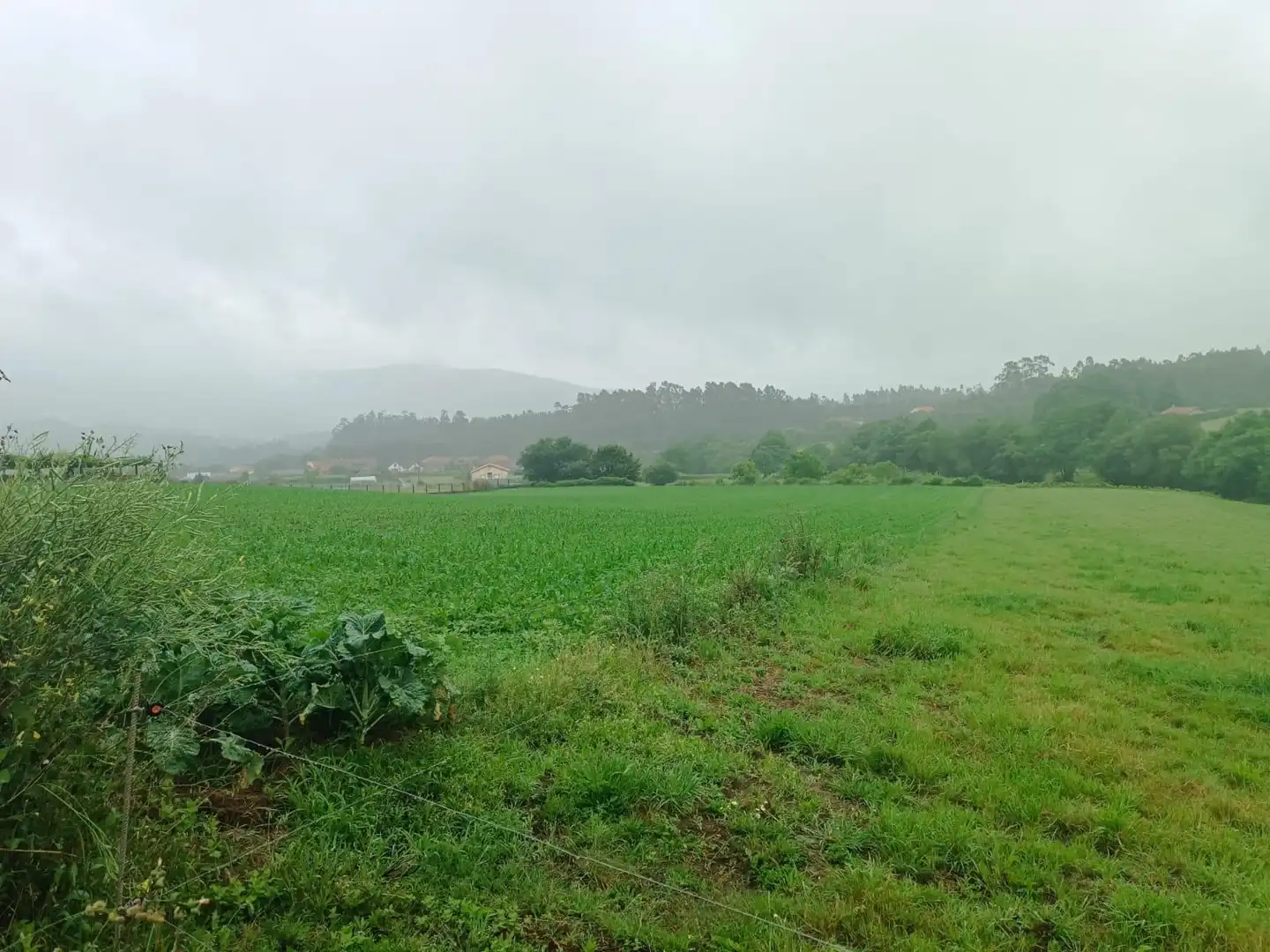 Terreno en venta en Polígono 503 Parcela 311 SAN MAMEDE DE PIÑEIRO. , 503, Cuntis