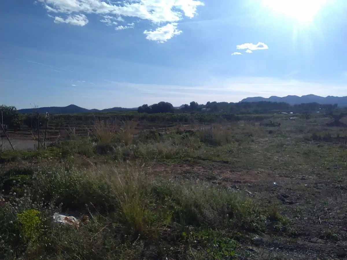 Terreno rústico en venta en Alfara de la Baronia, imagen 5