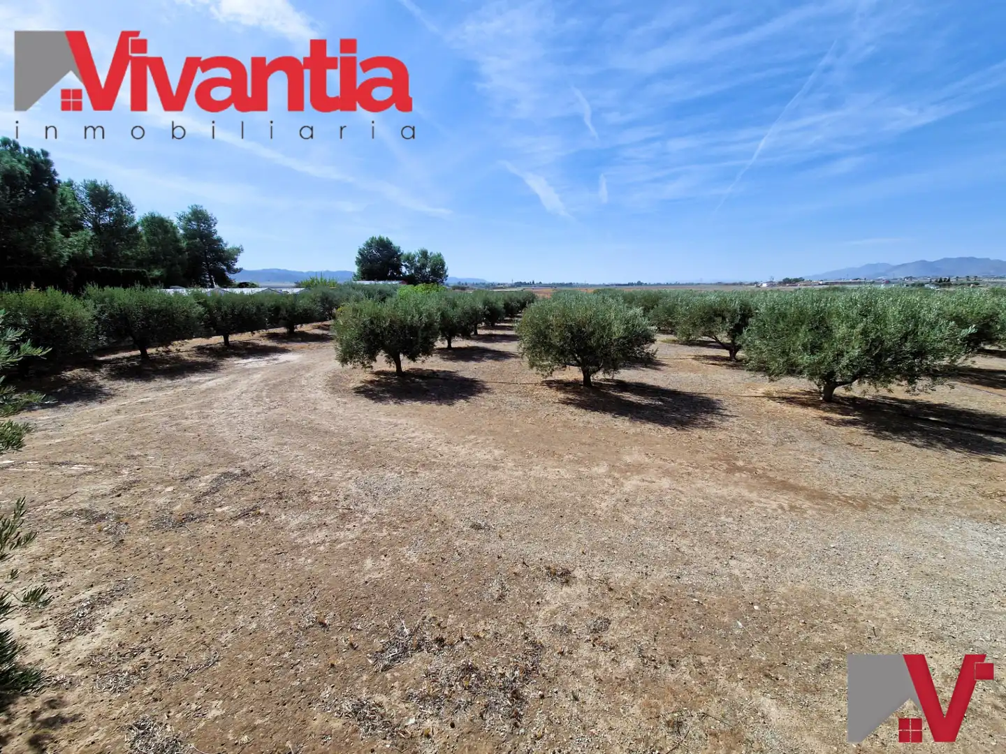 Chalet con piscina en venta en Pedanías Sur, imagen 60