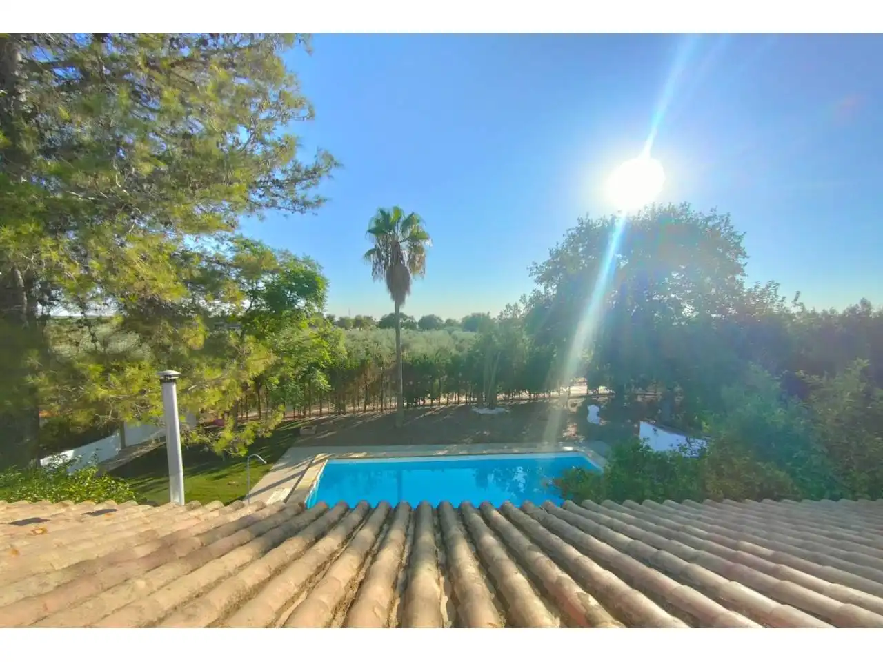 Jardín de Casa o chalet en venta en Carmona con Aire acondicionado, Jardín privado y Terraza