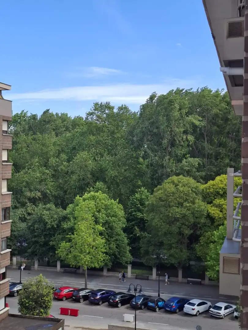 Vista exterior de Pis de lloguer en Gijón  amb Calefacció, Parquet i Terrassa