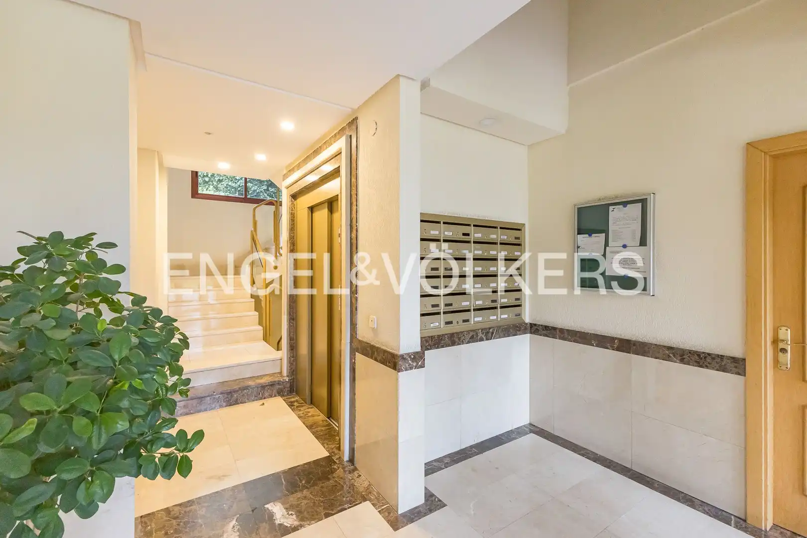 Flat for rent in Zona Carretera del Plantío