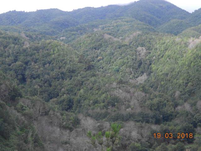 Terreno en Venta en Paraje Risco Moreno, . en Puntallana