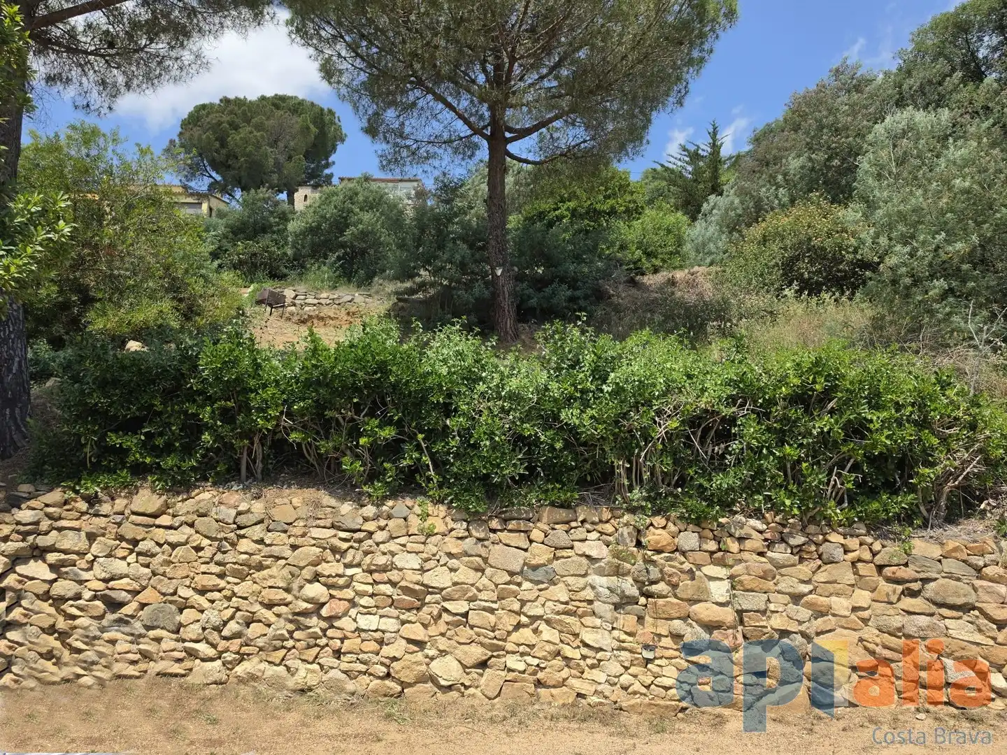 Residential land for sale in Carrer de la Selva, imagen 6