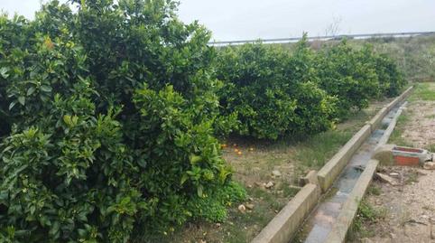 Foto 3 de Finca rústica en venda a Bonavista - Lago de San Lorenzo, Valencia