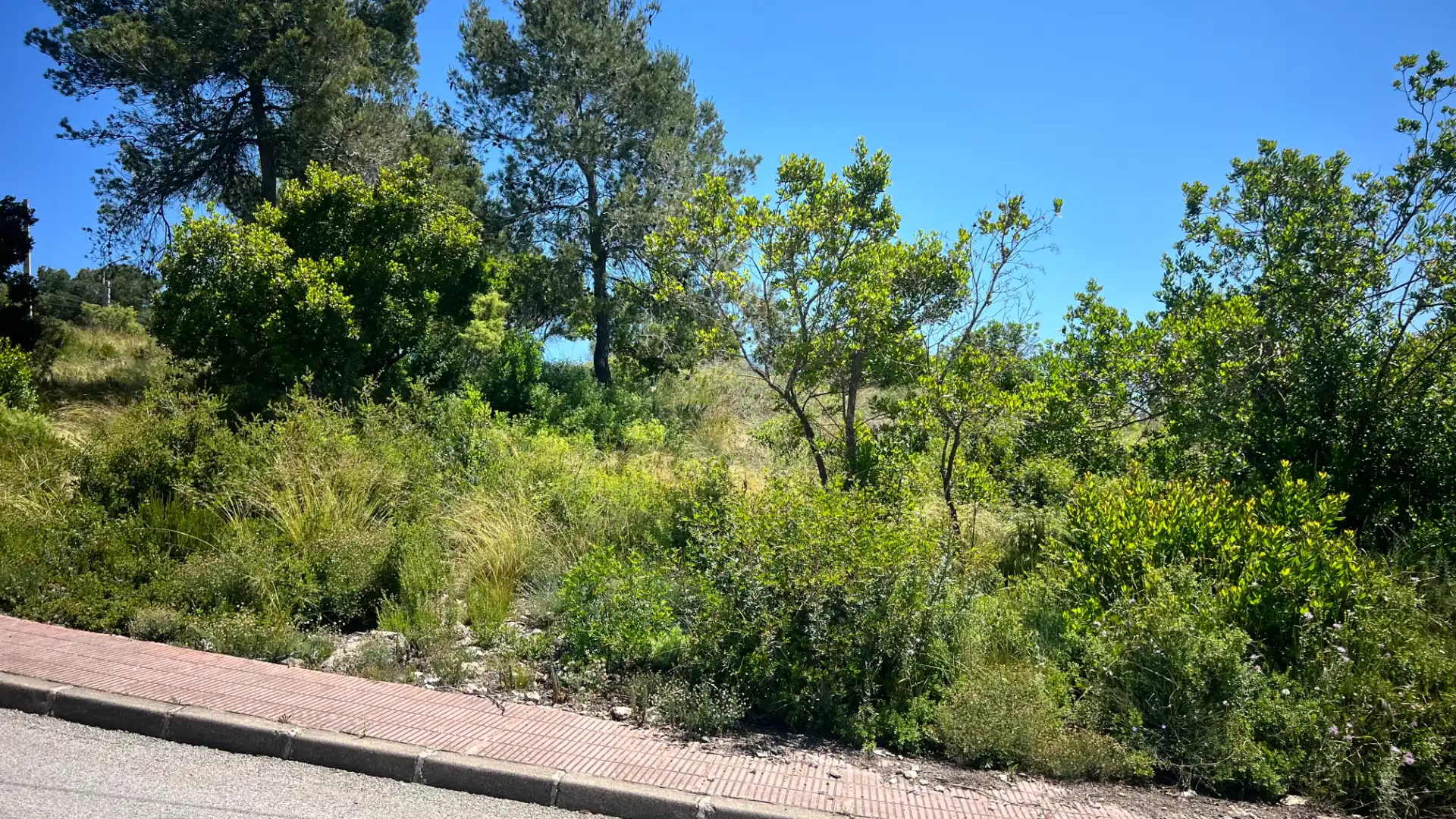 Terreny residencial en venda a Carrer Riu Freser 24, imagen 11