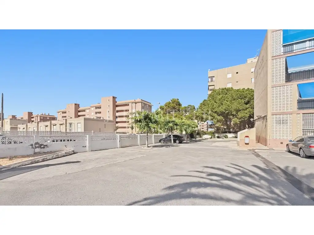 Vista exterior de Planta baja en venta en Elche / Elx
