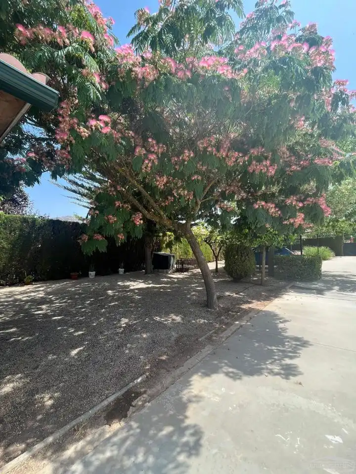 Maison avec piscine à vendre à Las Vegas - Campoaras, imagen 57