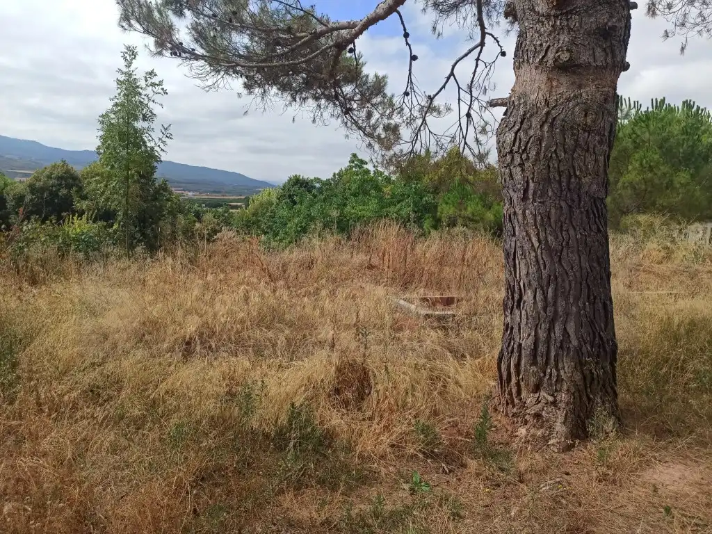 Casa o xalet en venda en Tricio
