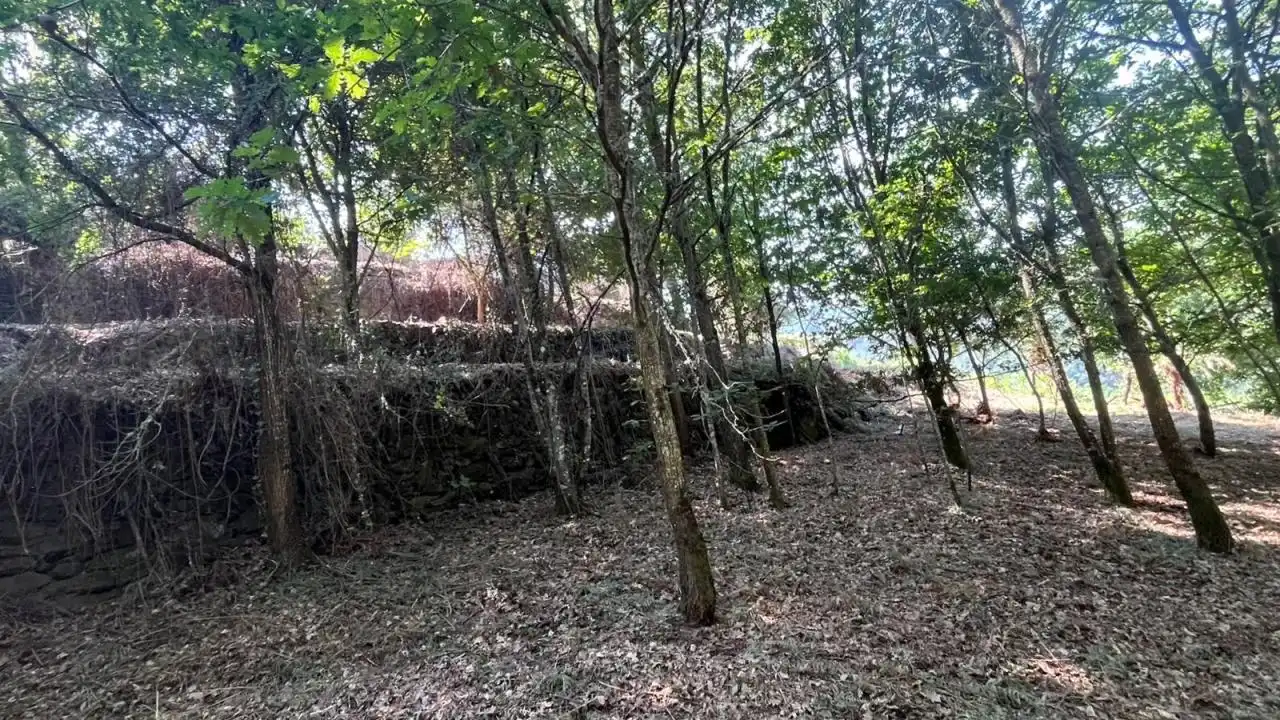 Casa rústica amb terrassa en venda a RAMUIN, imagen 24