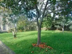 Casa o chalet en venta en Viveiro con Jardín privado, Terraza y Trastero