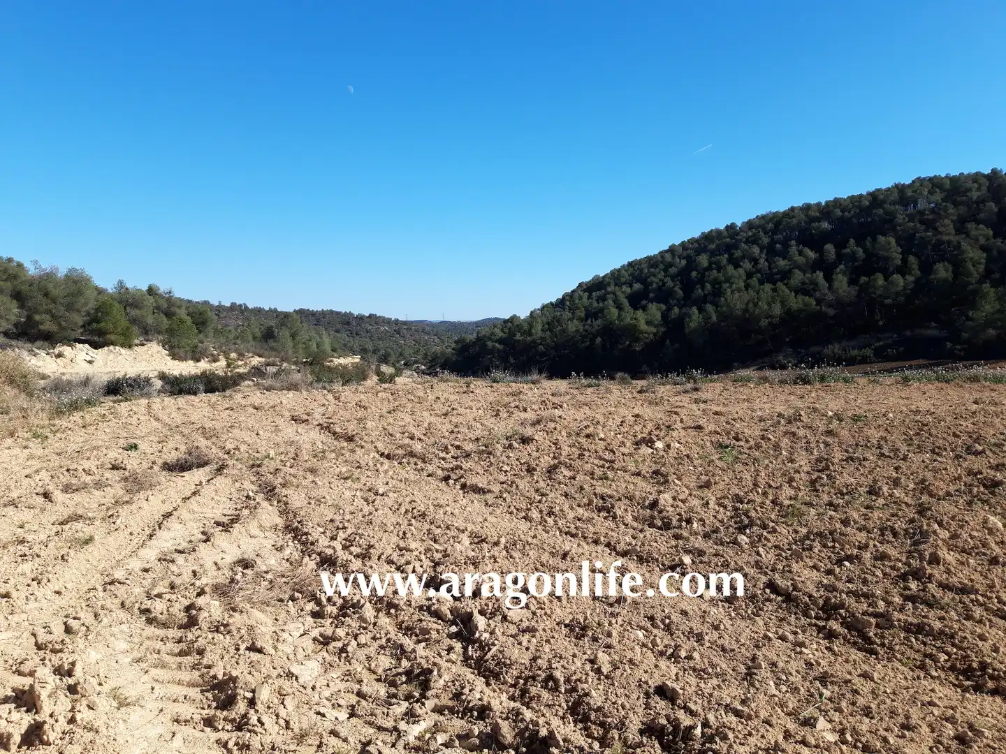Finca rústica en venta en Nonaspe