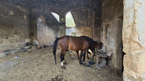 Foto 5 de Finca rústica en venda a Son Gual, Illes Balears