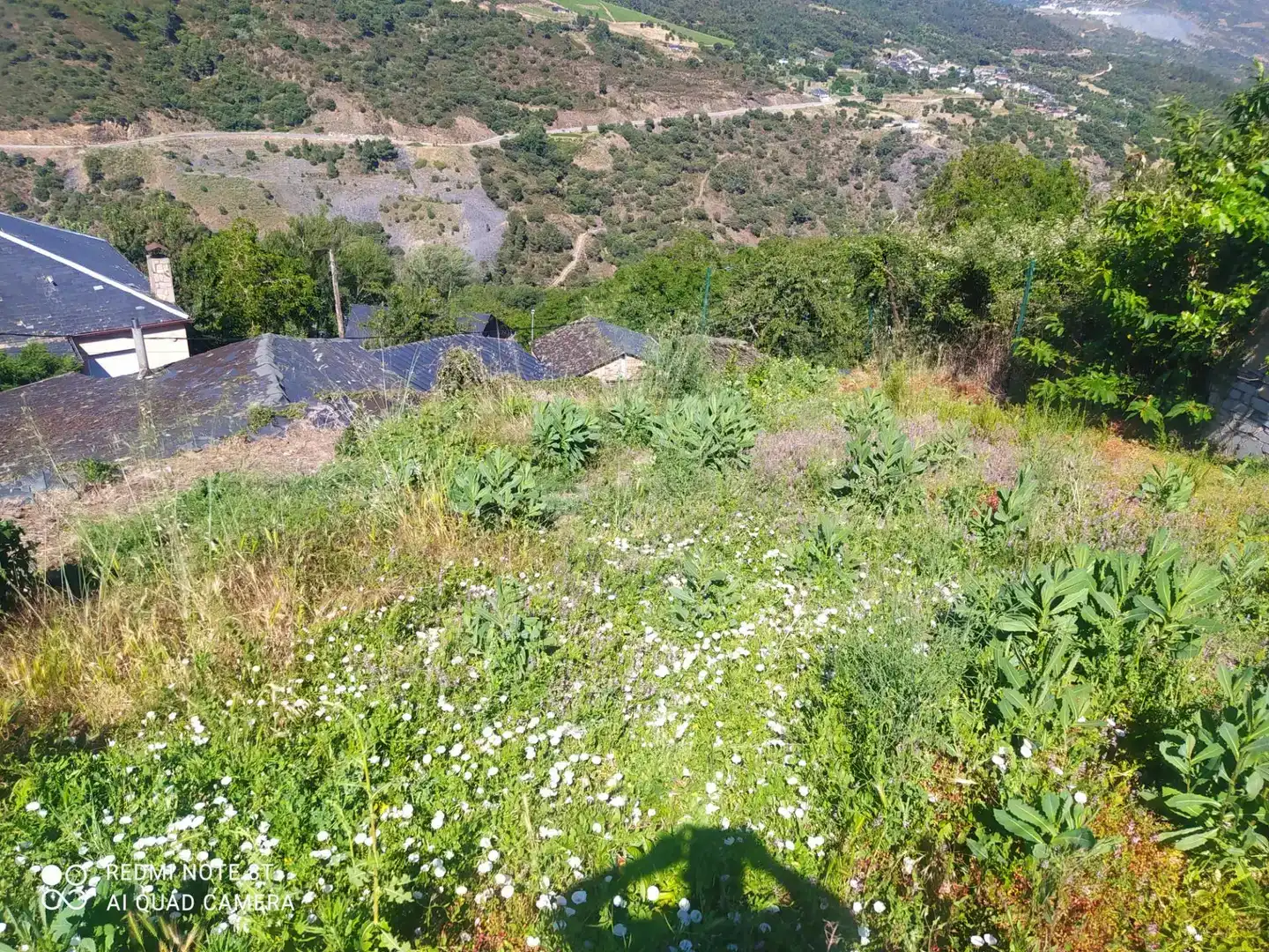 Finca rústica en venda en Carballeda de Valdeorras, Ourense