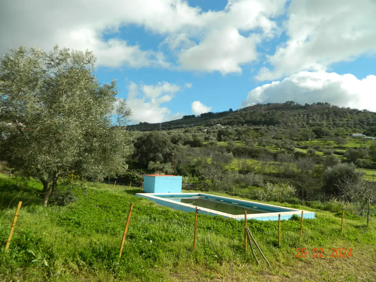 Villa mit Pool zum Verkauf in Calle Victoria 37, imagen 14