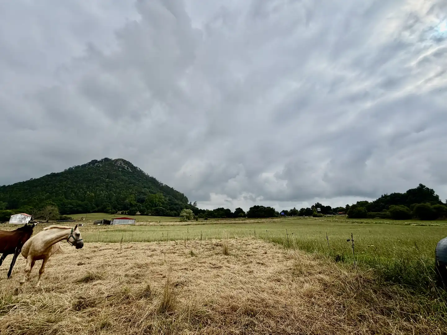 Terreno en venta en Medio Cudeyo